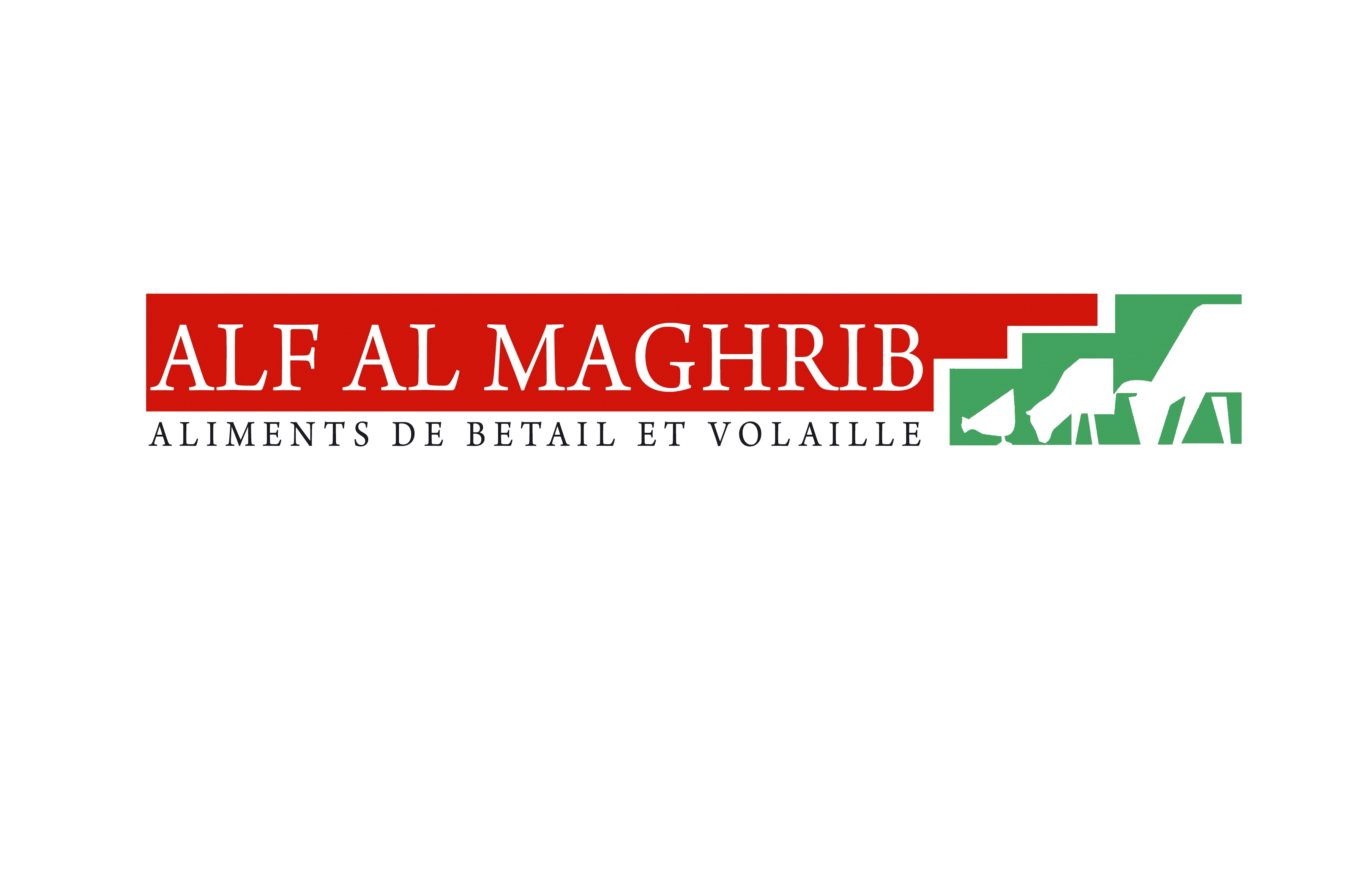 logo Alf Al Maghrib